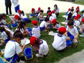 IMG_20260508_104551